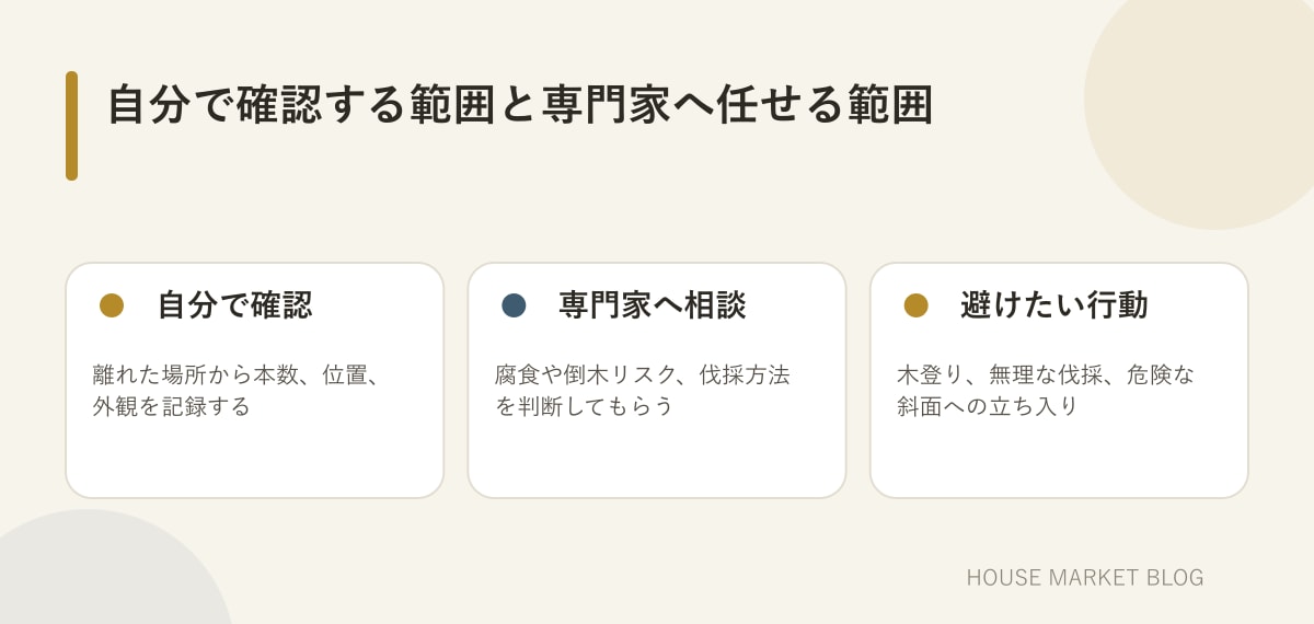 田舎物件の木について所有者が安全に確認できる内容と専門家へ相談したい内容の比較